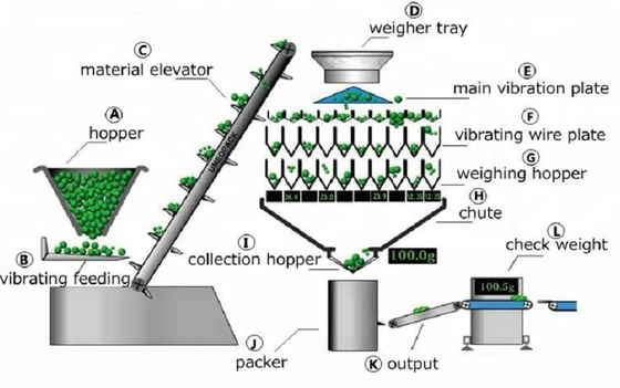 Automatic 10 Head Sheet Food Weighing and Packing Machine Multihead Combination Weigher