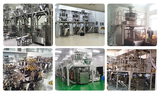 Flat Pouch Rotary Packing Machine PLC Control For Oatmeal Cookies Chocolate