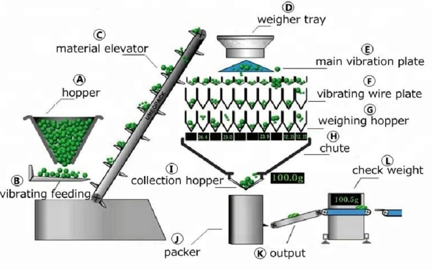 Automatic 10 Head Sheet Food Weighing and Packing Machine Multihead Combination Weigher